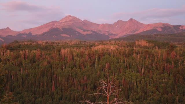 Drought Recovery Video Abstract