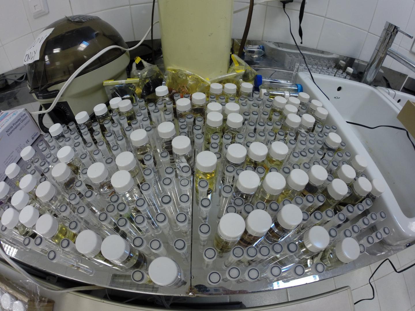 Samples for Genetic Research