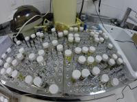 Samples for Genetic Research