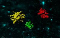 Beta Amyloid Plaques in 3-D