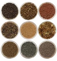 Tropical Tree Seeds