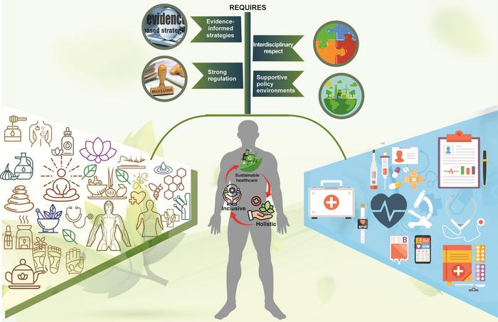 Global Trends in the Integration of Traditional and Modern Medicine: Challenges and Opportunities
