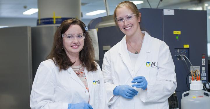 Stomach cancer researchers