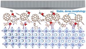 Novel fullerene derivatives enhance the interfacial stability of IPSCs.