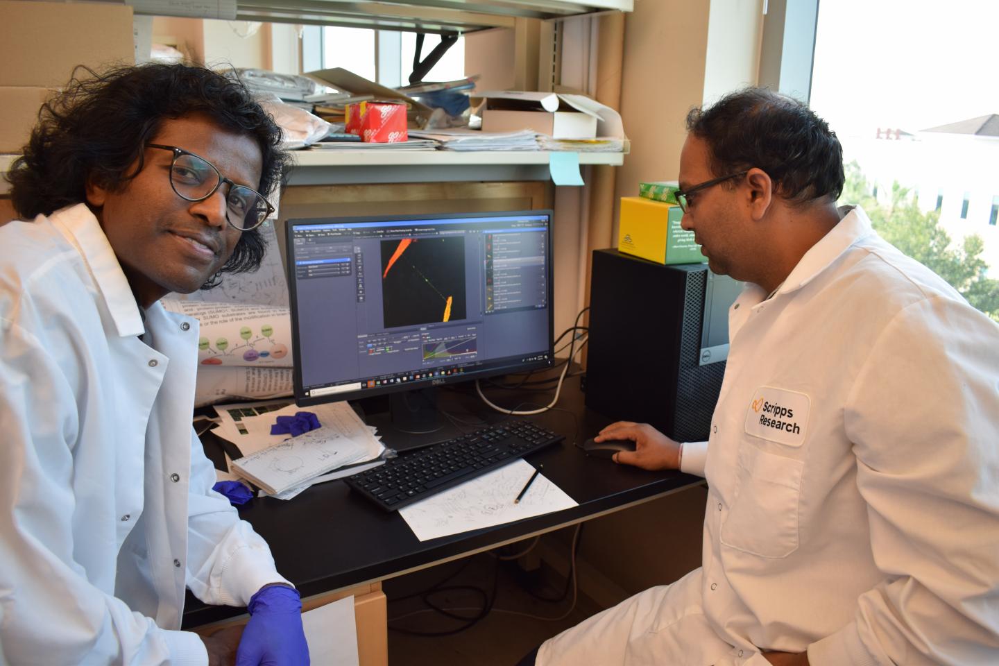 Hungtington's Nanotubes Share Disease