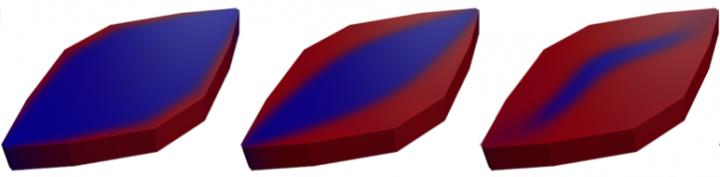 Simulation