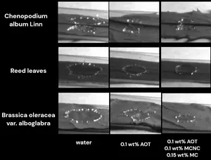 New formulation can significantly improve the adhesion of water droplets to various hydrophobic and superhydrophobic plant leaves.