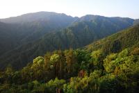 Gutianshan Reserve
