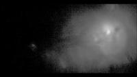 Laser Beam Excites Fluorescent Bacteria Swimming in a Micro-Fluidic Device