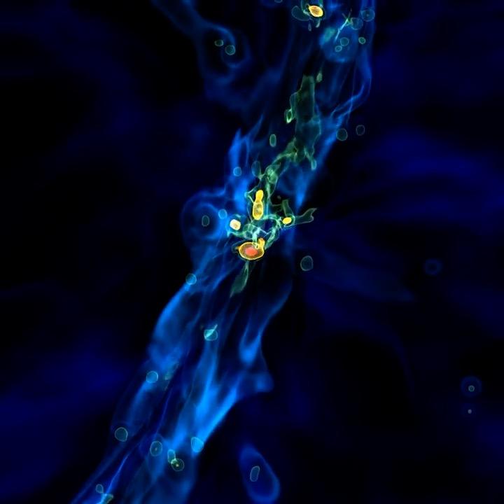 Quasar
