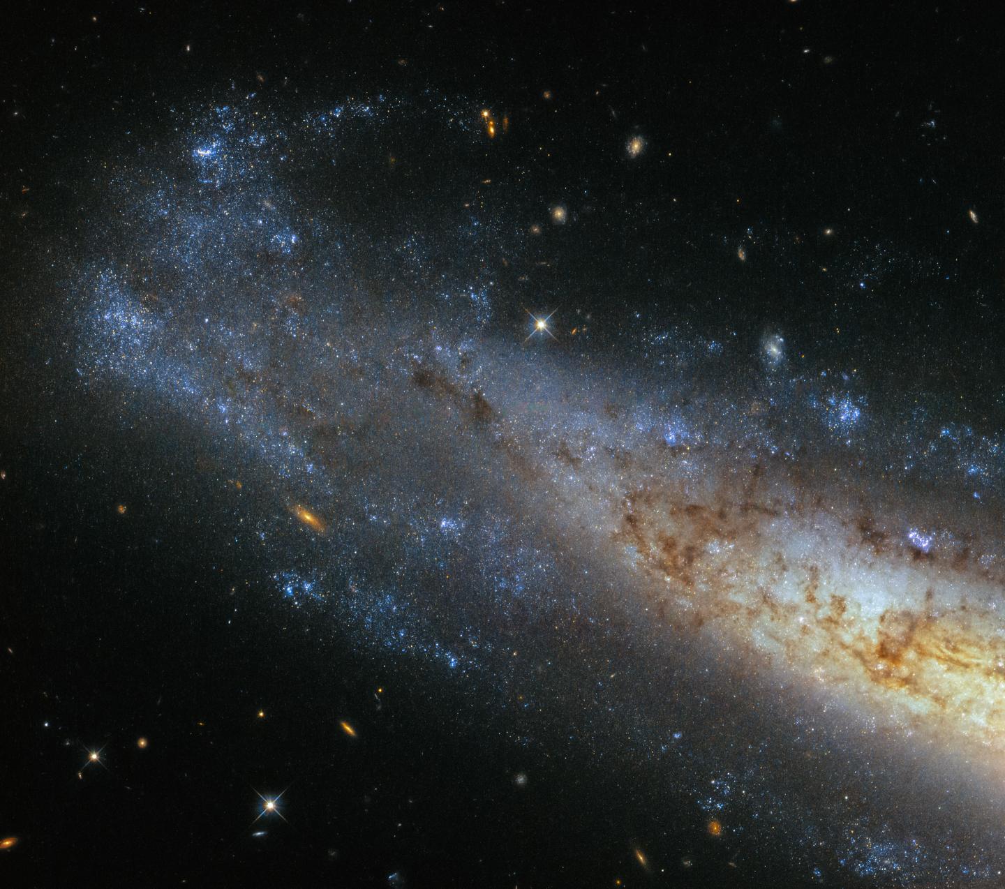 The Frisbee Galaxy