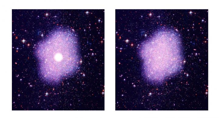 Dark Matter Distribution