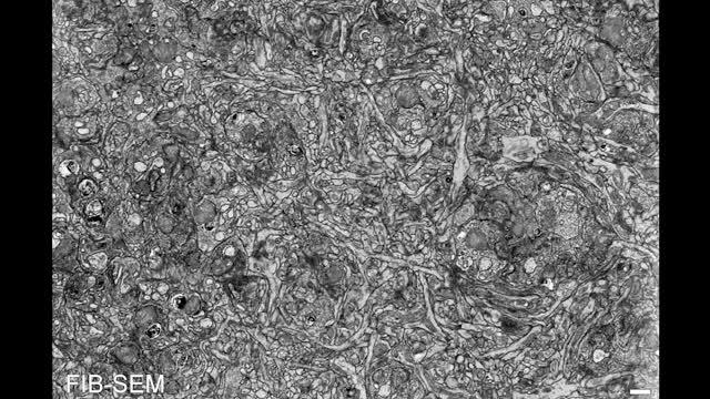 Nanotubes (video)