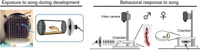 Experimental Design of the Study