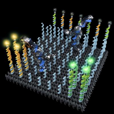 DNA Robots Sorting Cargo (Artist's Conception)
