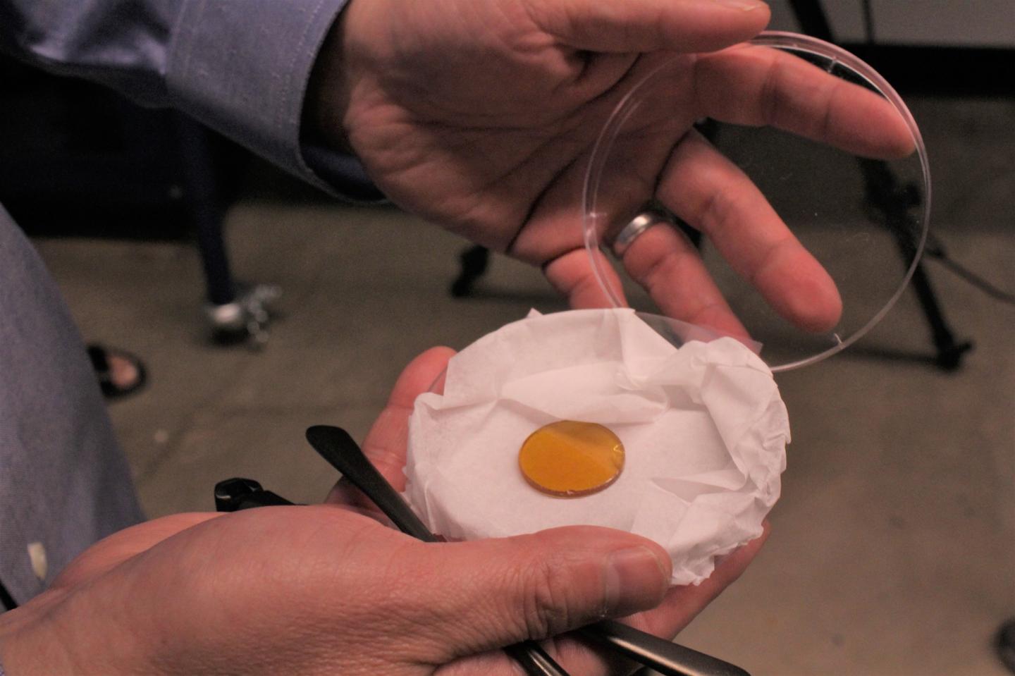 Polymer Lens