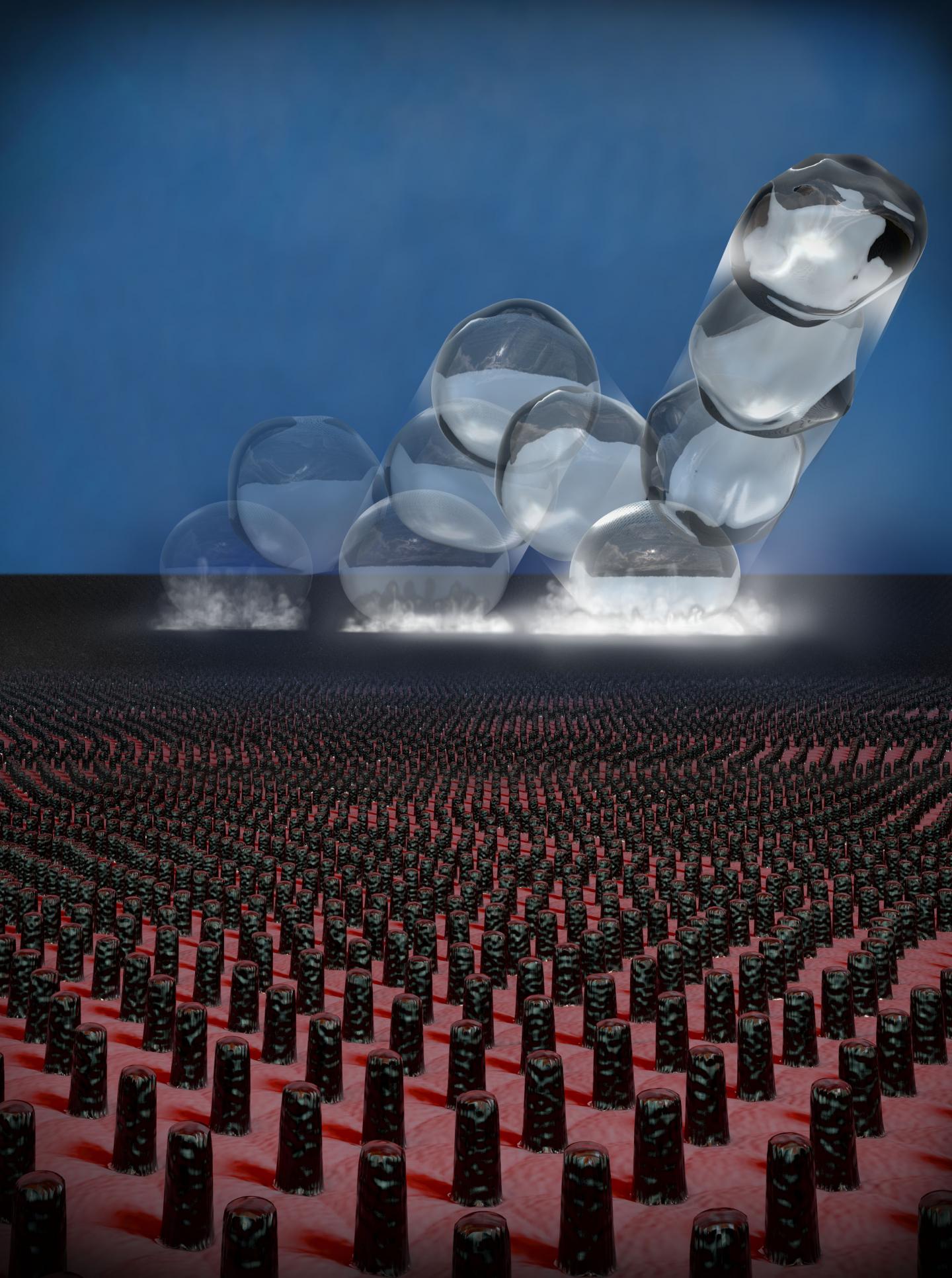 Microstructured Silicon Surfaces
