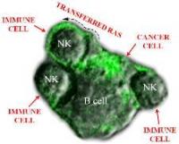 Ras Protein and Cells