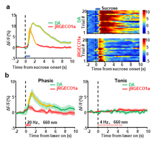 FIG 2