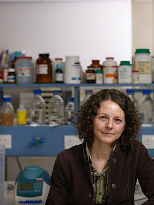 Professor Susan Burchill