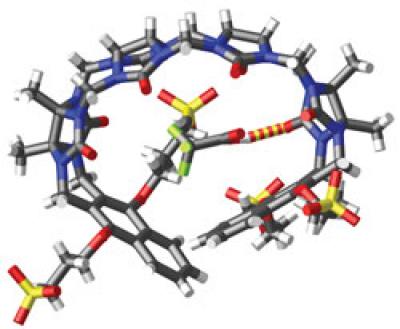 A Model of a Cucurbituril Interacting with CF3CO2H