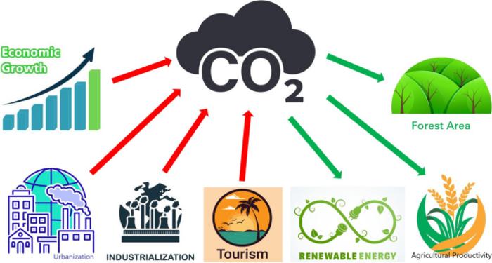 Dynamic impacts of economic growth, renewable energy use, urbanization, industrialization, tourism, agriculture, and forests on carbon emissions in Turkey
