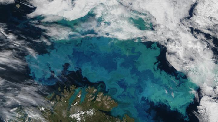 Satellite Image