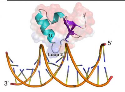 Ler Complex