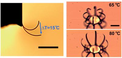 Microactuator