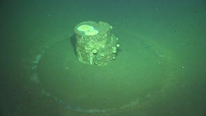 Upright barrel with surrounding white halo