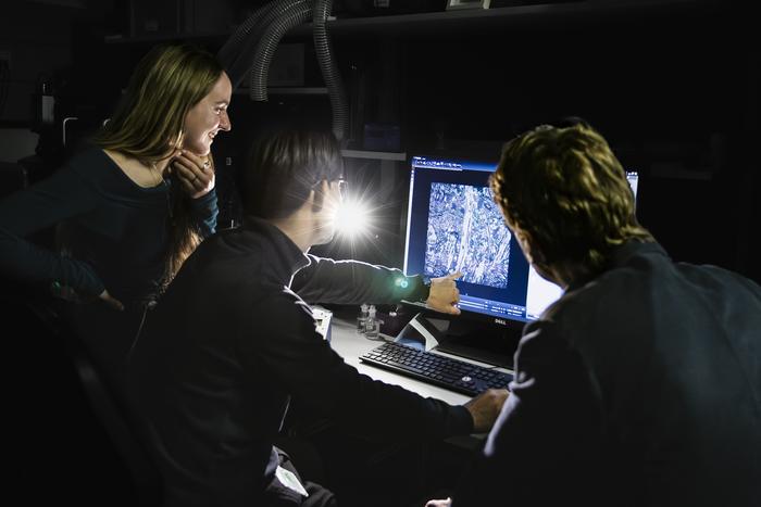 Authors discussing a close-up image of the hippocampus