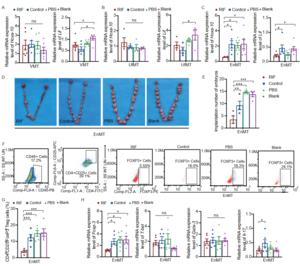 Reproductive tract microbiota affects endometrial receptivity and uterine Treg cells in SD rats.