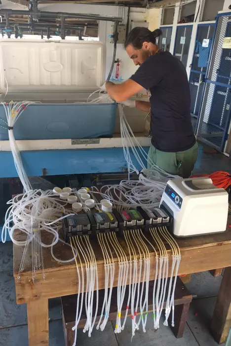 First author Zachary A. Quinlan taking water samples for metabolomics.