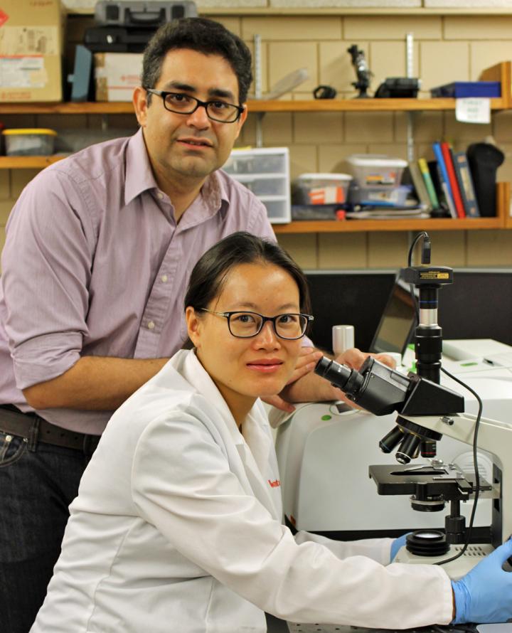 Developing Self-Destrucing Batteries