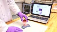 Silicone and Mold
