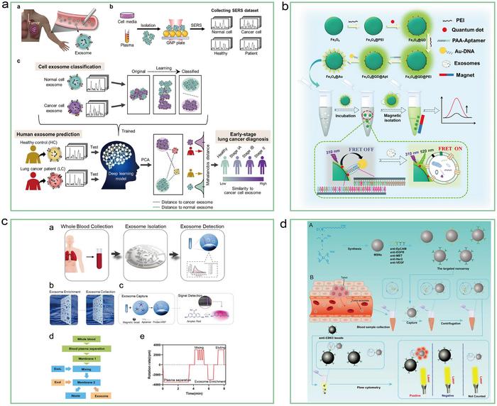 Schematic overview of the deep learning-based circulating exosome analysis for lung cancer detection