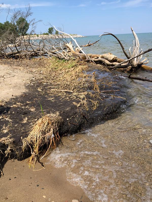 Erosion Closeup