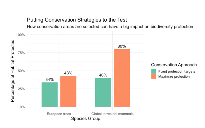 Comparison of habitat protection for European trees and global mammals under two conservation approaches