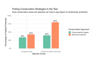 Comparison of habitat protection for European trees and global mammals under two conservation approaches