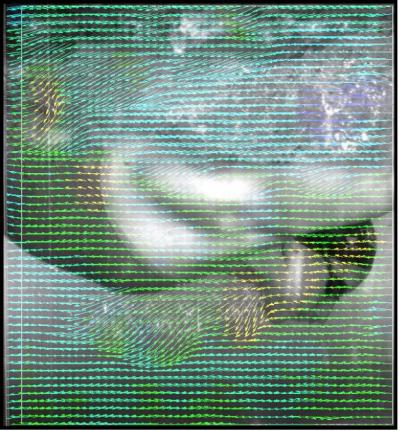 Swimming Technology (1 of 2)