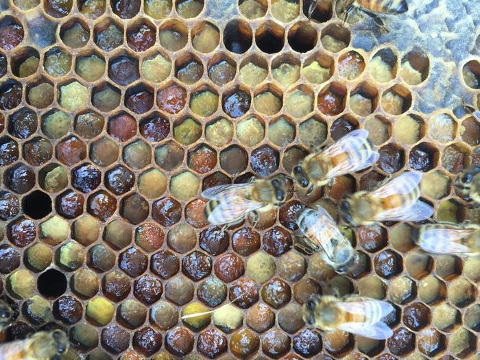 Pollen