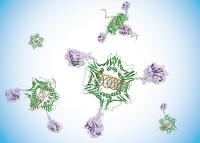 Artistic Depiction of Ubiquitylated PCNA Encircling Duplex DNA by University of Delaware Researchers