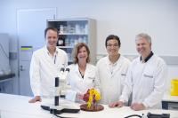 Mike Lawrence, Mai Margetts, Geoffrey Kong, and John Menting