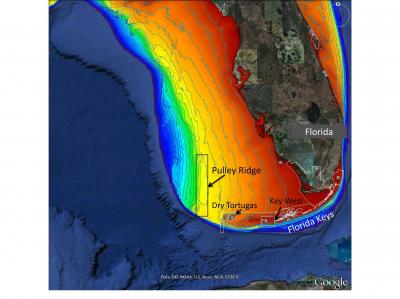 Scientists Study Pulley Ridge Through NOAA Grant