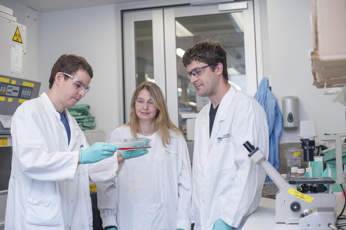 Cancer Researchers in Lab