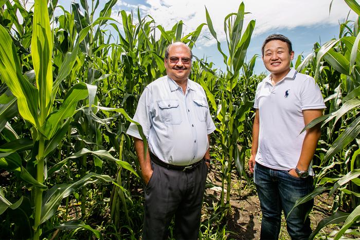 Praveen Kumar and Dong K. Woo, University of Illinois at Urbana-Champaign