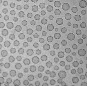 Synthetic blood platelets