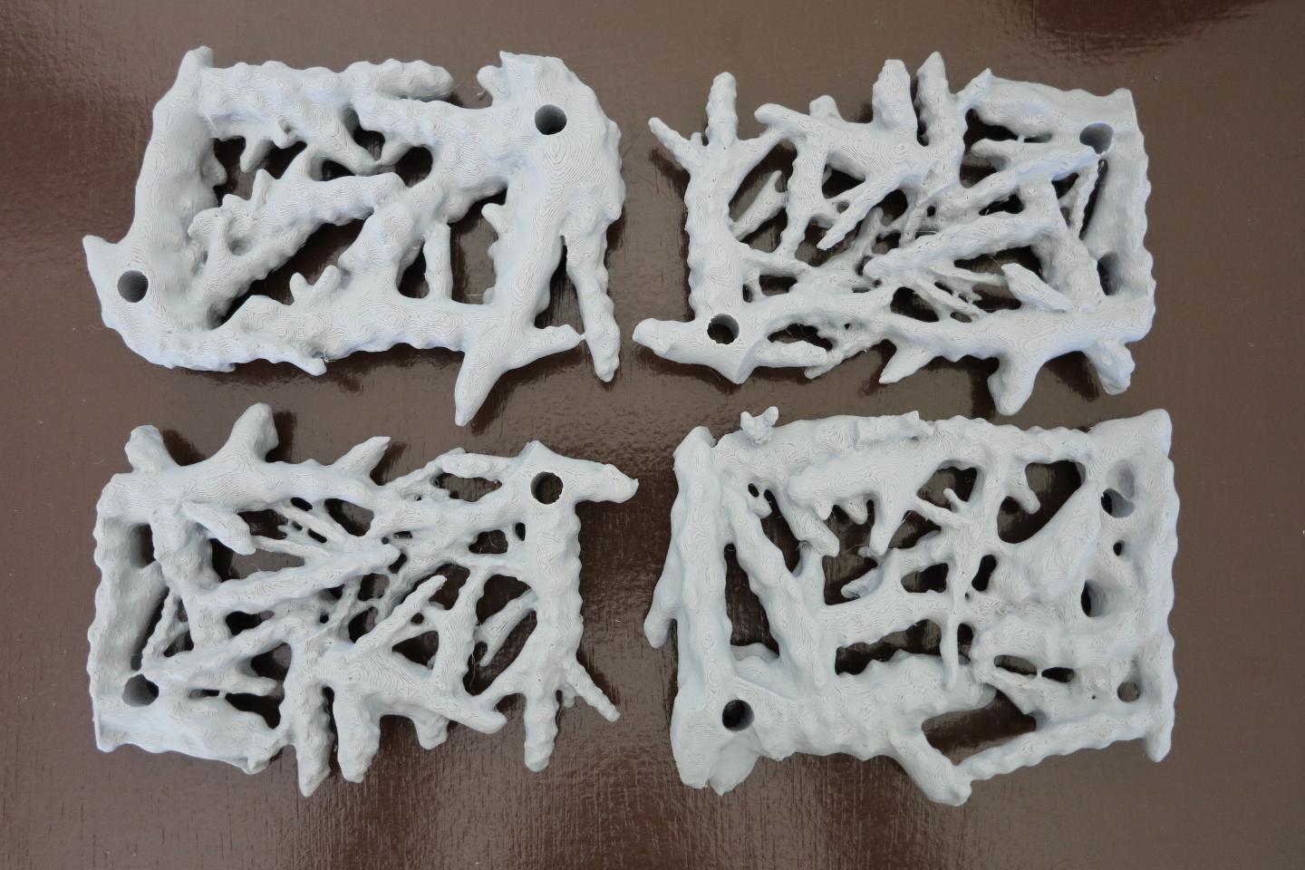 Freshly Printed RUBS
