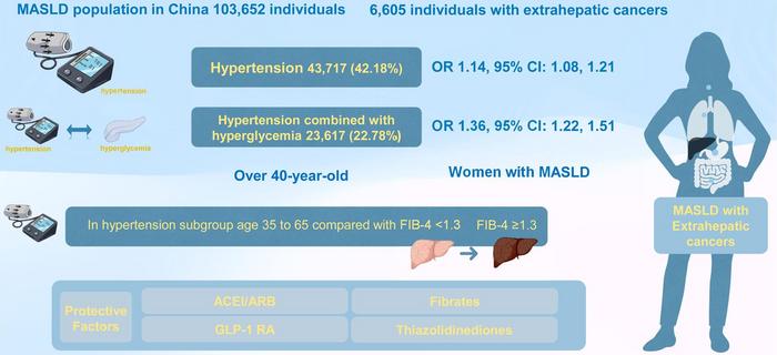 Hypertension Associated with the Risk of Extrahepatic Cancers in the Metabolic Dysfunction-associated Steatotic Liver Disease Population