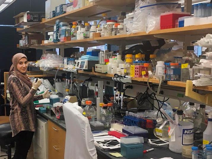 Elledge Lab